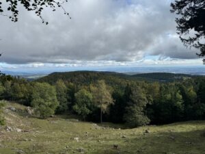 VaniVanity_Hohe Wand Tierpark